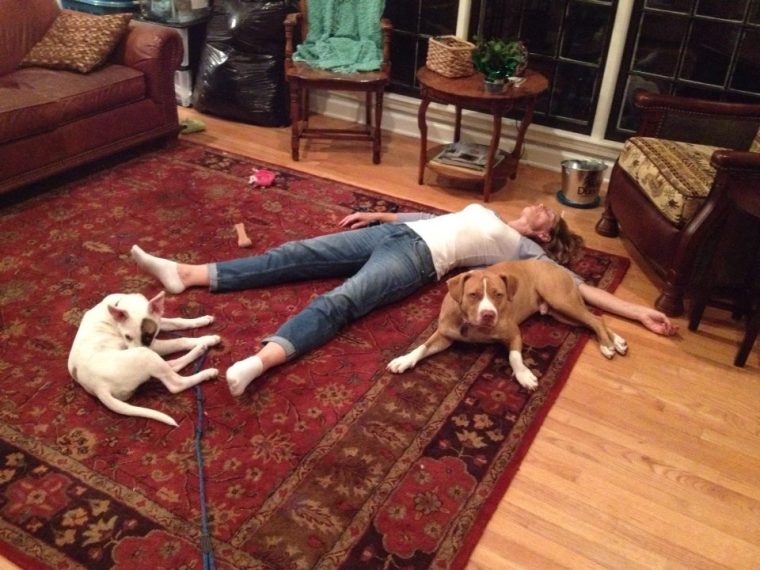 10624695_10152580863038229_8853473388493651576_n