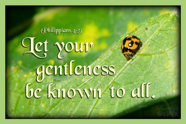 Let your gentleness be known to all.  (Phil. 4:5)
